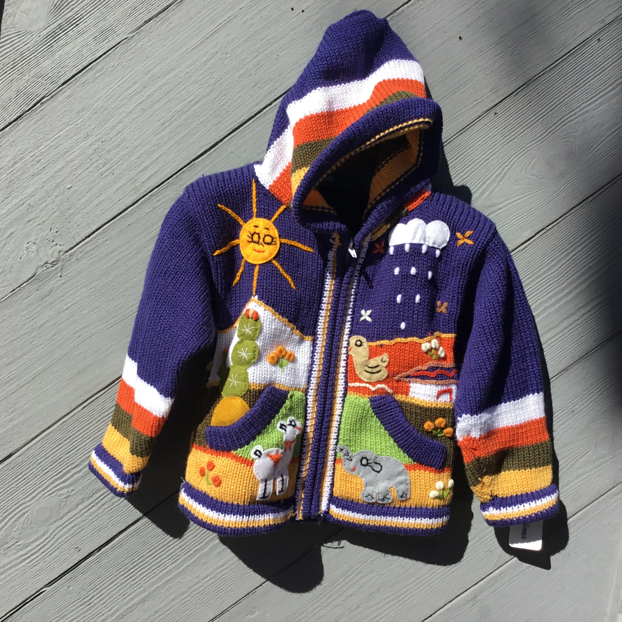 Kids Peruvian Sweater Aplique Laguna Iguana